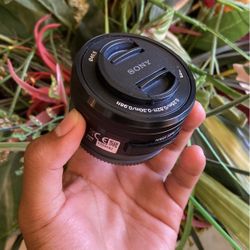 Sony 16 -50mm Lens