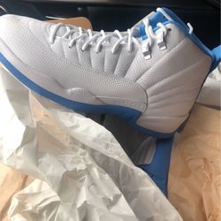Air Jordan 12
