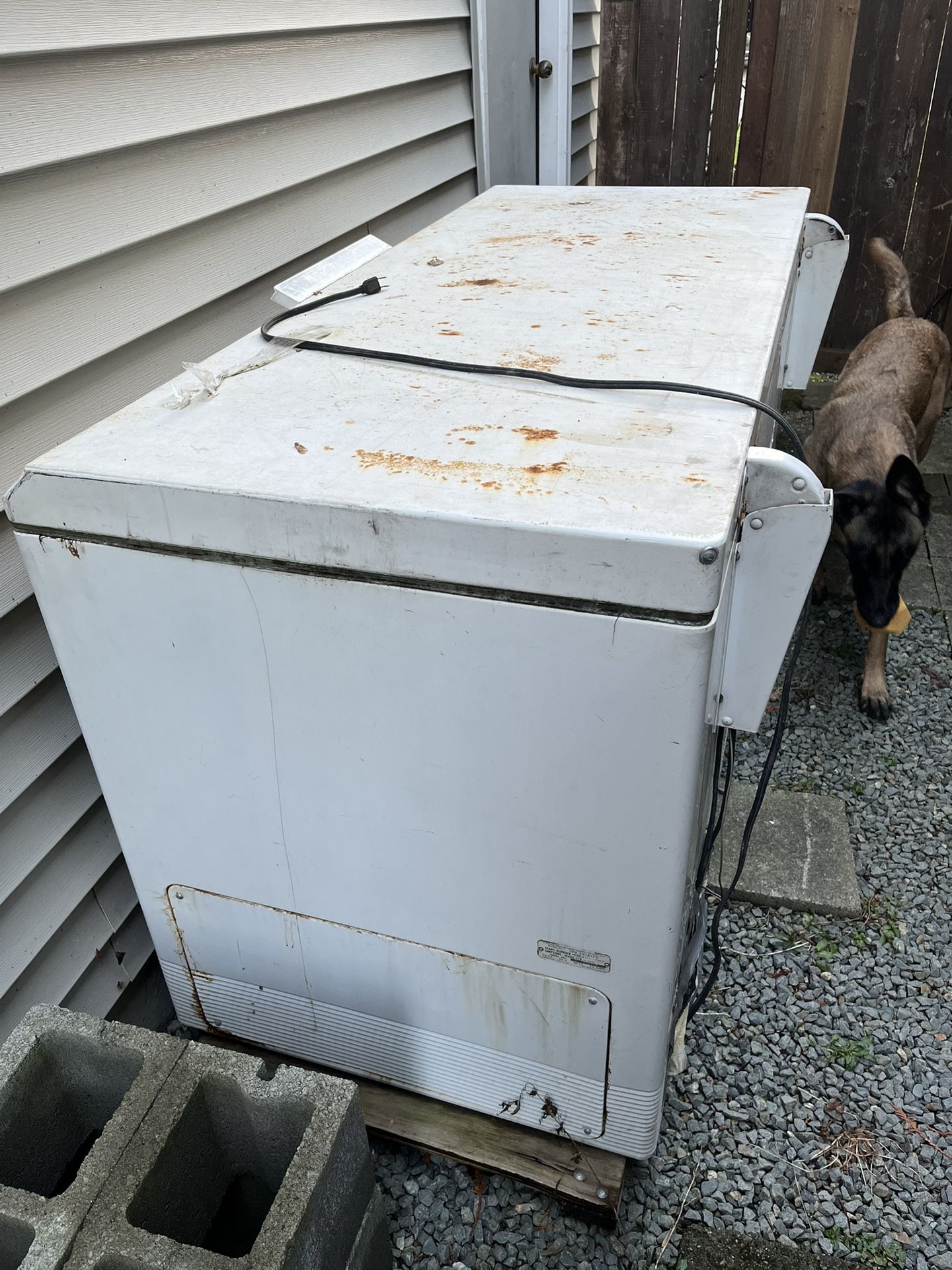 Chest Freezer