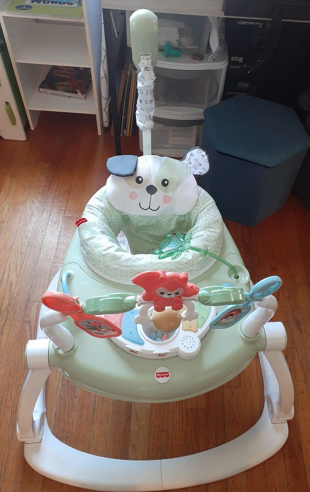 Fisher-Price Baby SpaceSaver Jumperoo

 - Puppy Perfection 