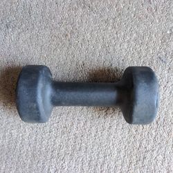 8lb Dumbbell 