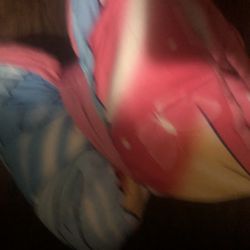 Sleeping Bags Princess 