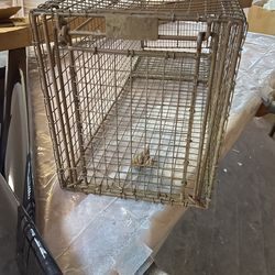 Raccoon Trap