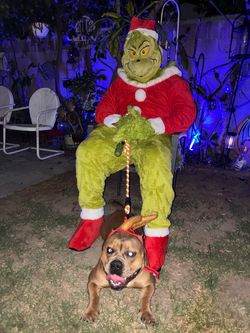 Grinch costume