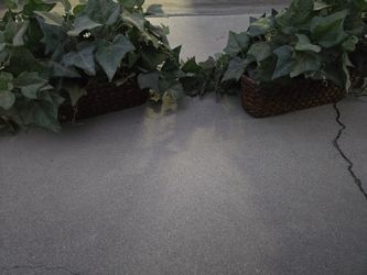 2 Artificial Plants With Wicker Basket