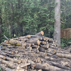 Free Seasoned Firewood 