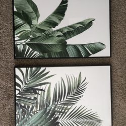 Plant Frames