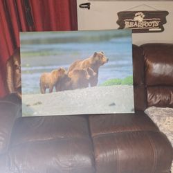 Bear Canvas Picture