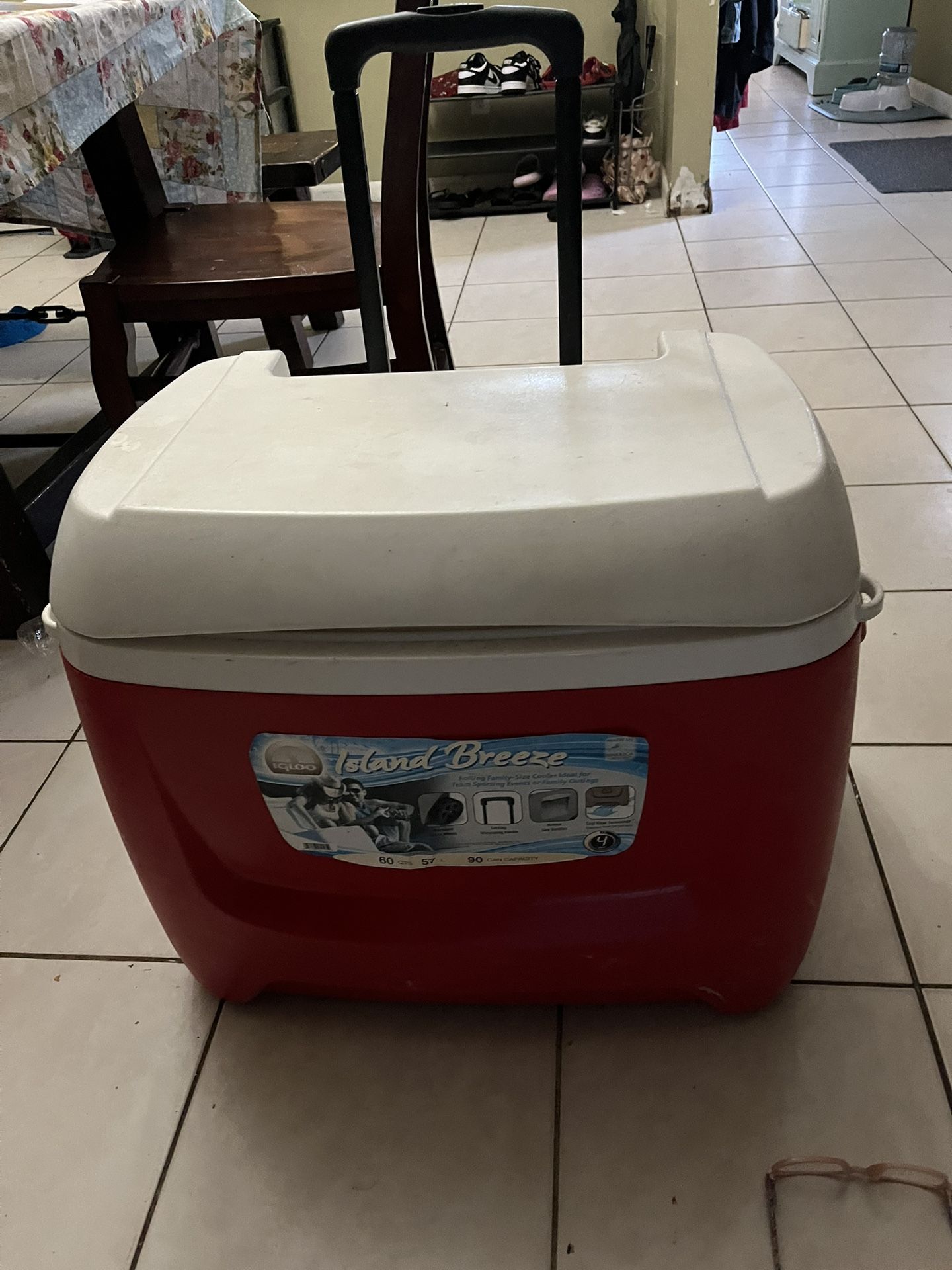 Igloo Cooler