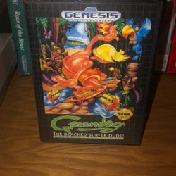 Greendog Sega Game