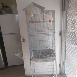 Bird Cage 