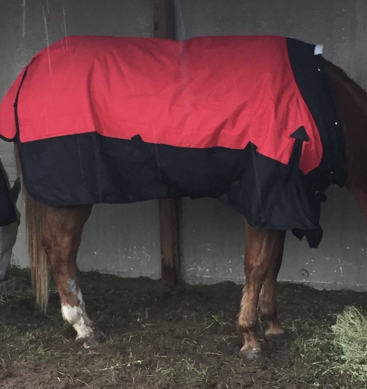 Schneiders StormShield Horse Blanket 78”