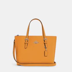 Coach Bag Mollie Tote 25