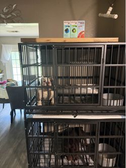Cage