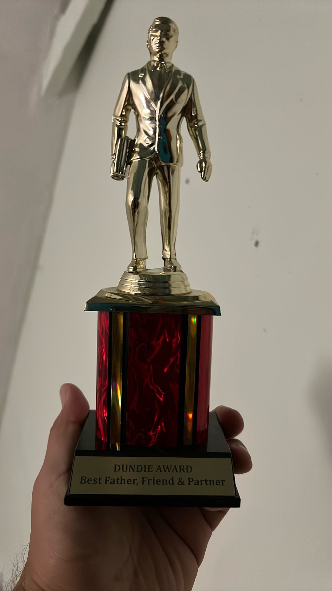 Dundie Award - Best Father, Friend & Partner Award!!