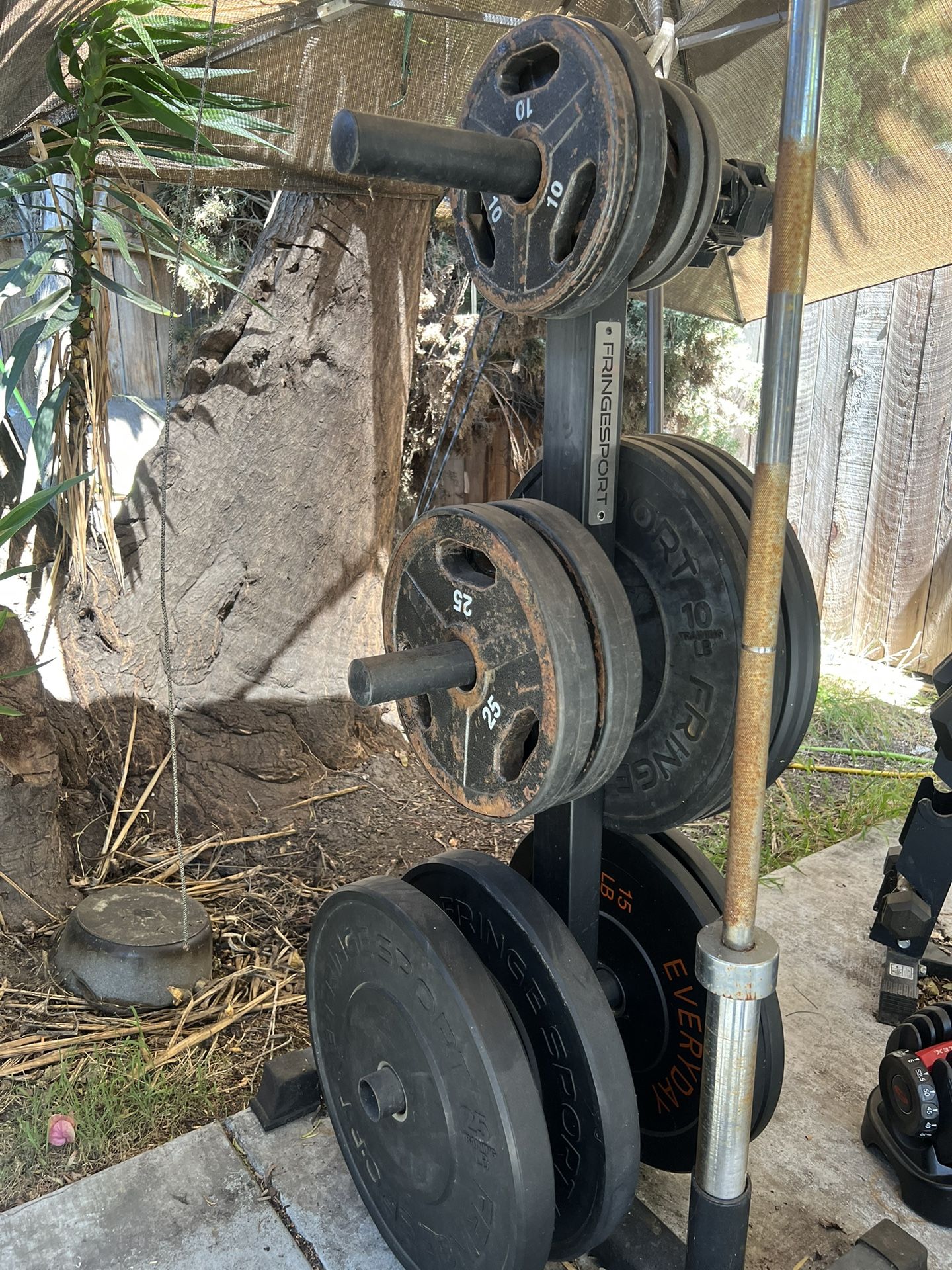 Olympics bumper and non bumper plates