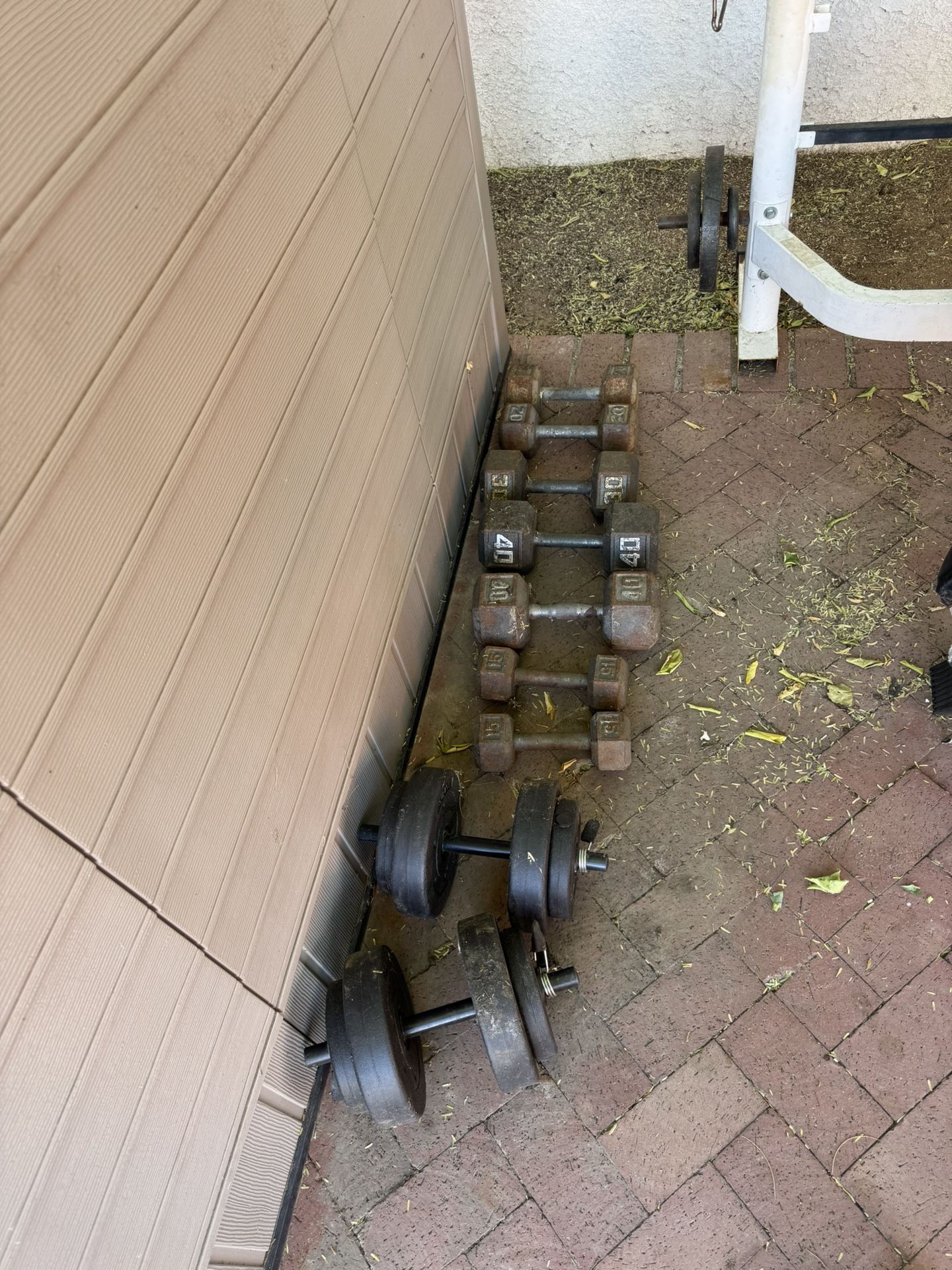 Dumbbells And Plates with Tricep Rope Pulldown