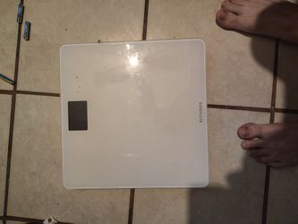 Scale