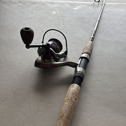 Pflueger spinning combo
