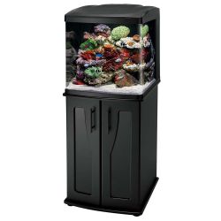 32g biocube