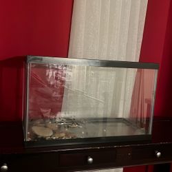 Fish Tank 