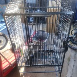 Bird Cage