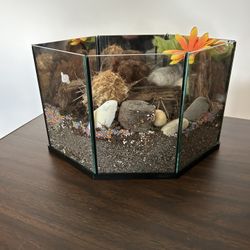 Glass mirrored geometric hexagon Terrarium display case 10” x 6” x 6”