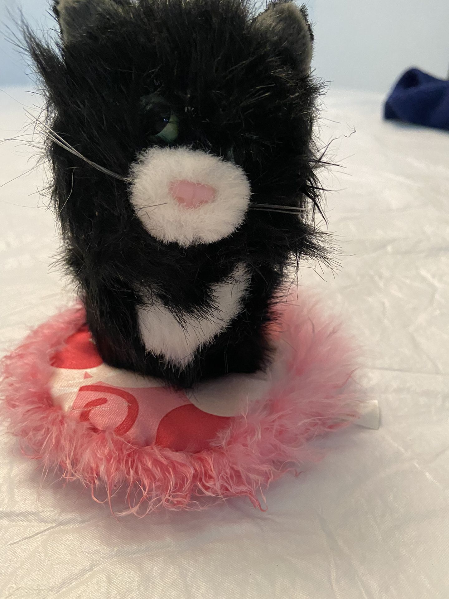 American girl doll – licorice the cat