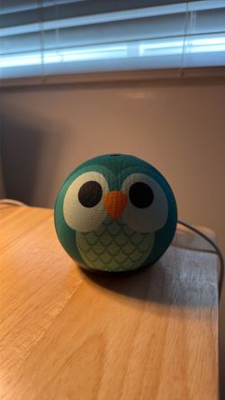 Echo Dot
