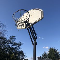 Basketball Hoop