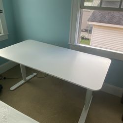 Adjustable Desk