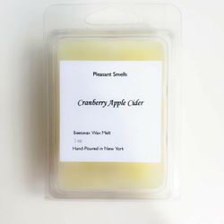 Homemade Beeswax Wax Melts
