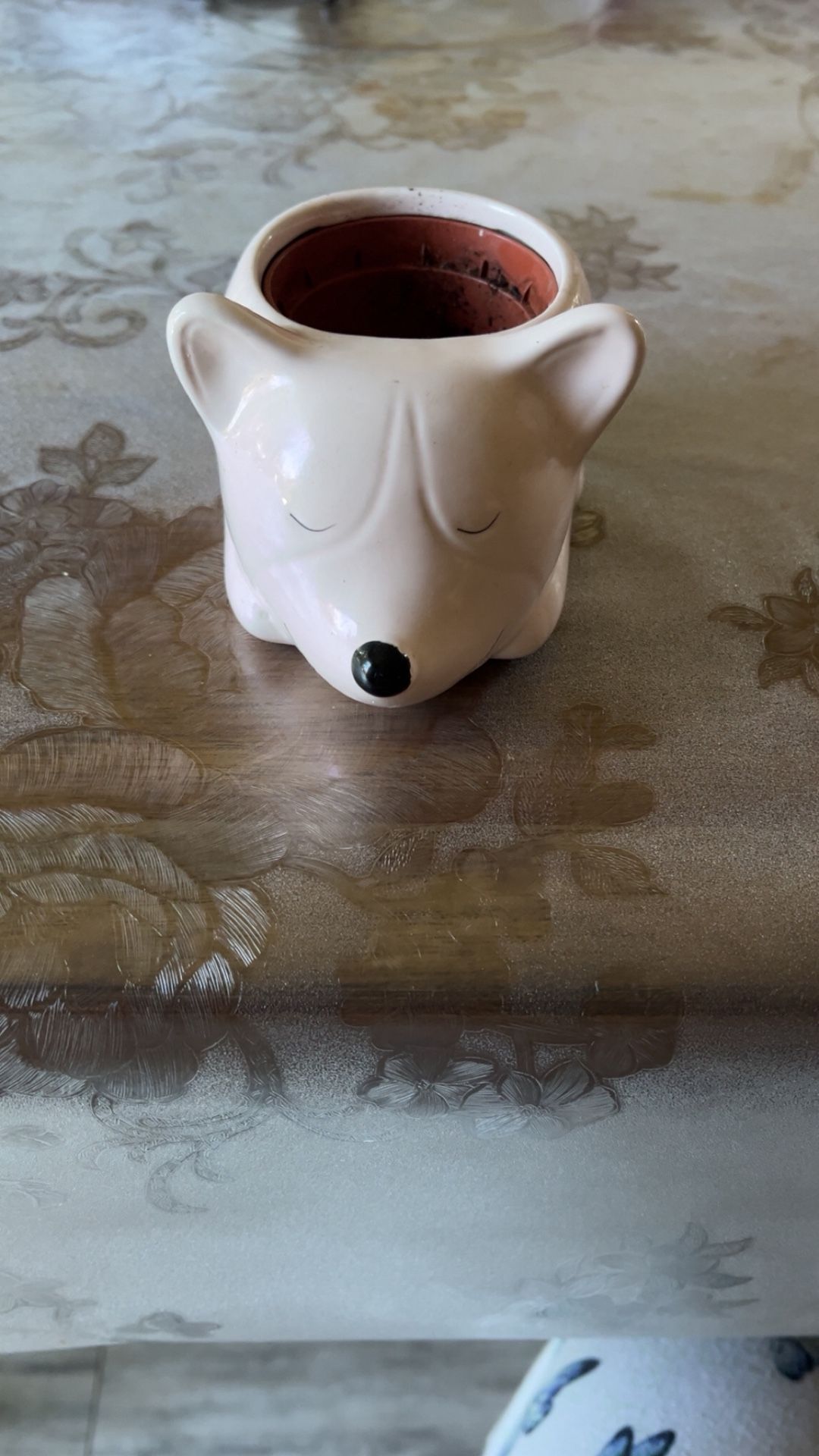 Plant Holder