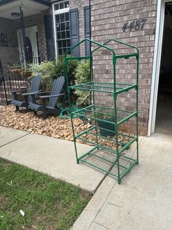 Green shelf