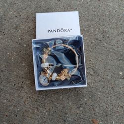 Pandora Bracelet 