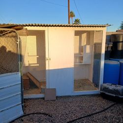 Custom Chicken Coop