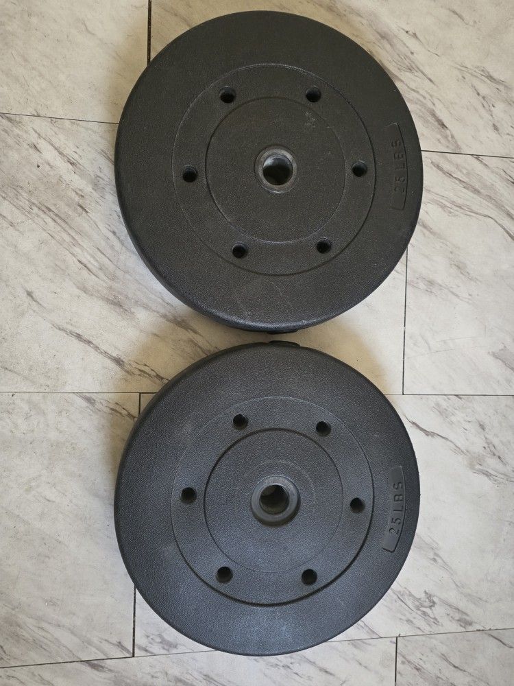 Two 25lbs Weight Plates