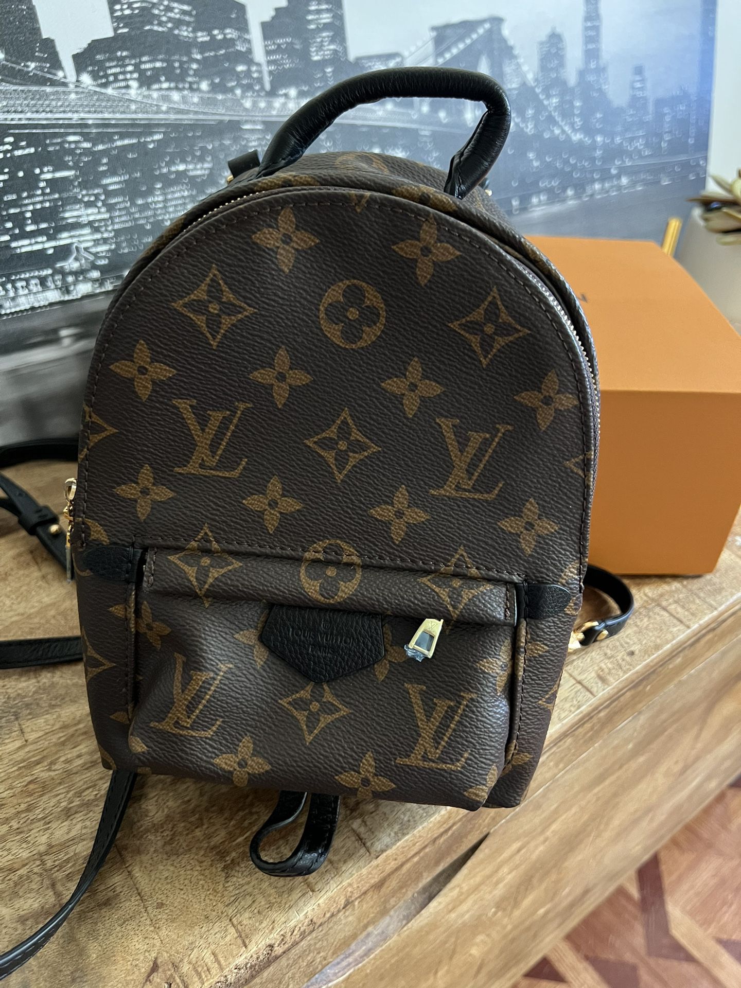 Louis Vuitton Bag for Sale in The Bronx, NY - OfferUp
