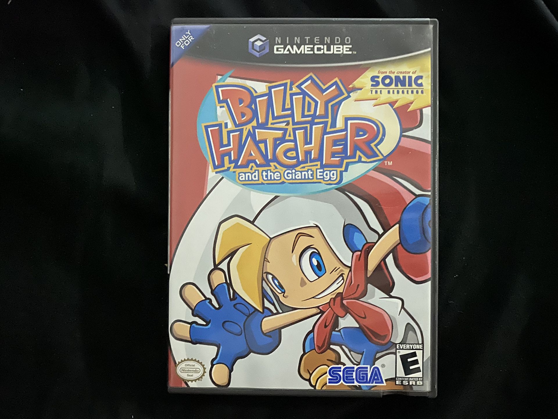 CIB Billy and the Giant Egg (Nintendo GameCube, 2003)