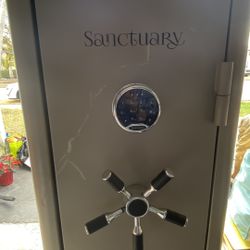Heavy Duty Gun Safe Jewelry 