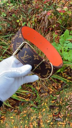 DESINGNER Dog Collar