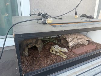 Large Reptile Terrarium with Decor