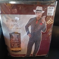 Costume Men Size Large 