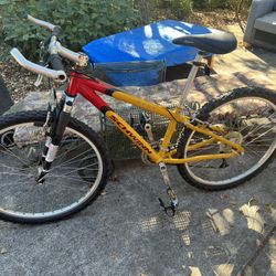 Schwinn Mesa GSX 21speed Mountain Bike - Very Good Condition 