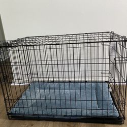 iCrate Folding Dog Crate