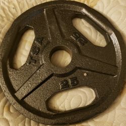 TSA 25lbs Plate Weights