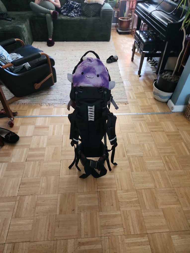 REI Tagalong Child Carrier Backpack