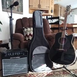 Electric Acoustic Guitar /Amplifier/Microphone /Case /Stands And Accessories.