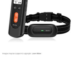 Dog Training Collar