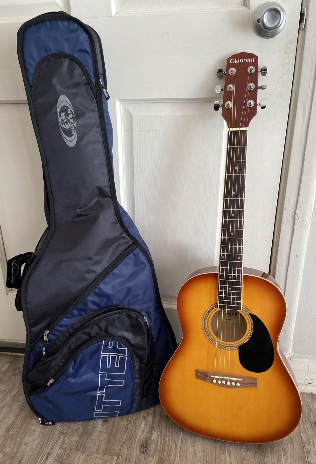 Giannini Guitar And NWT Ritter Guitar Bag